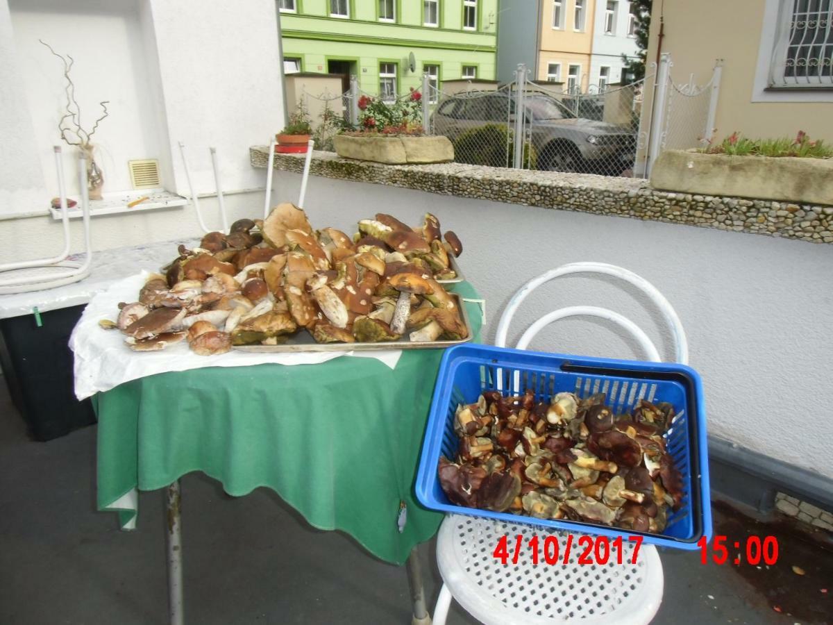 Pension U Kaktusu Karlowe Wary Zewnętrze zdjęcie